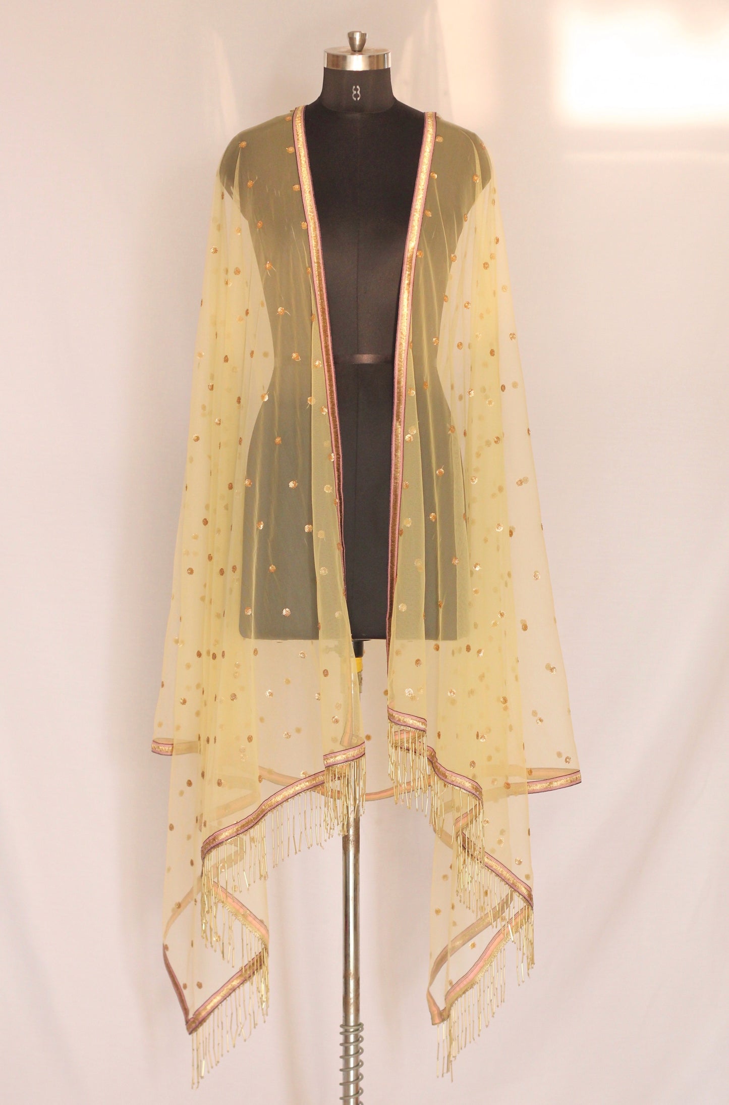Golden soft net dupatta
